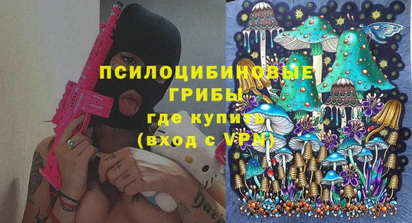 mdpv Козловка