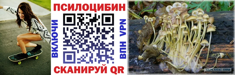 Галлюциногенные грибы MAGIC MUSHROOMS  Купить  Гвардейск 